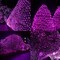 DAZZLE BRIGHT Halloween 360 LED Net Lights, 12FT x 5 FT Connectable String Lights with 8 Lighting Modes, Halloween Decorations for Party Carnival Supplies, Indoor Outdoor Yard Garden Decor (Purple)